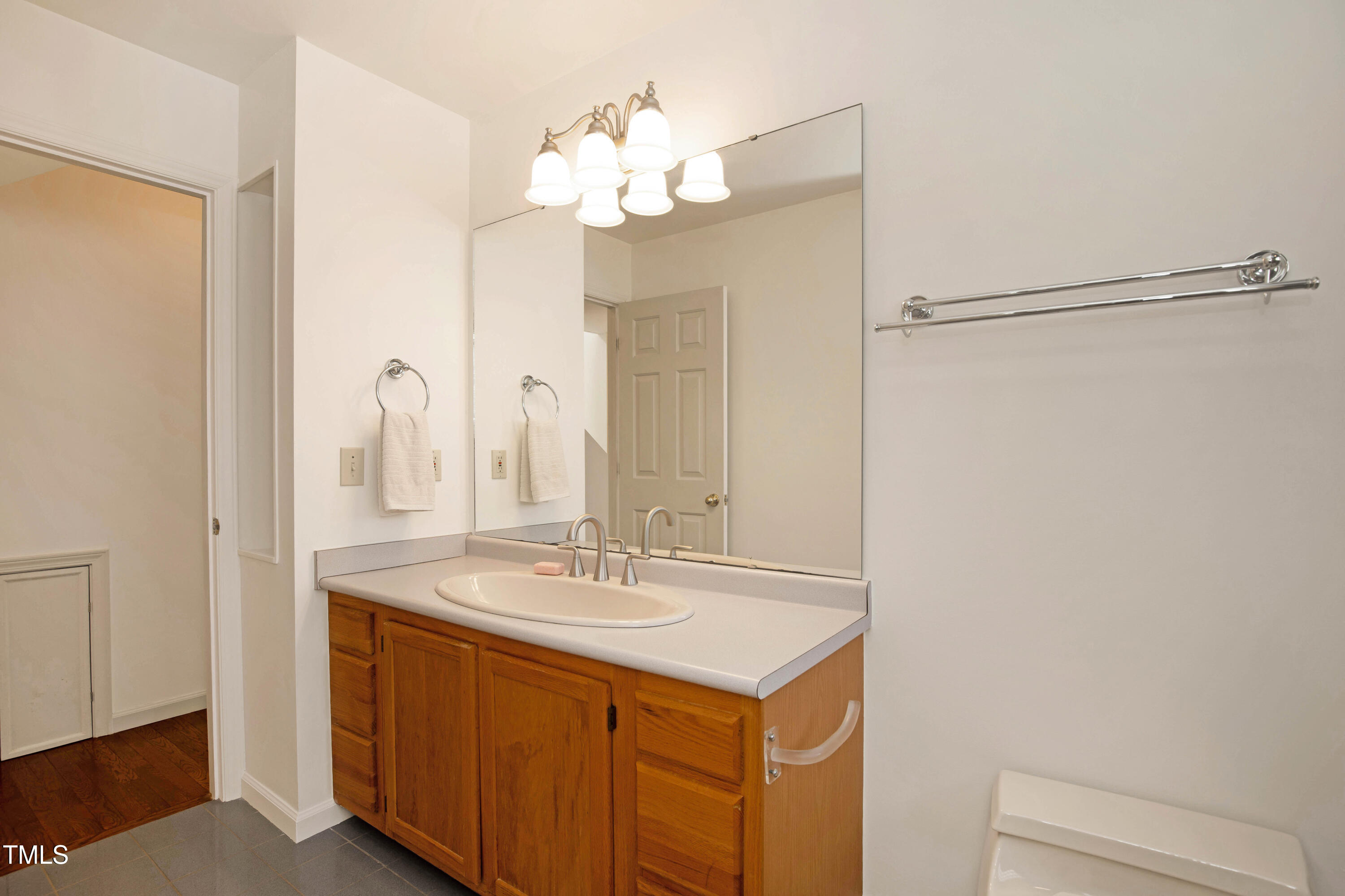 7409 Birch Tree Lane Wake Forest, NC 27587 - Photo 37 of 72 a bathroom with a sink vanity and a mirror