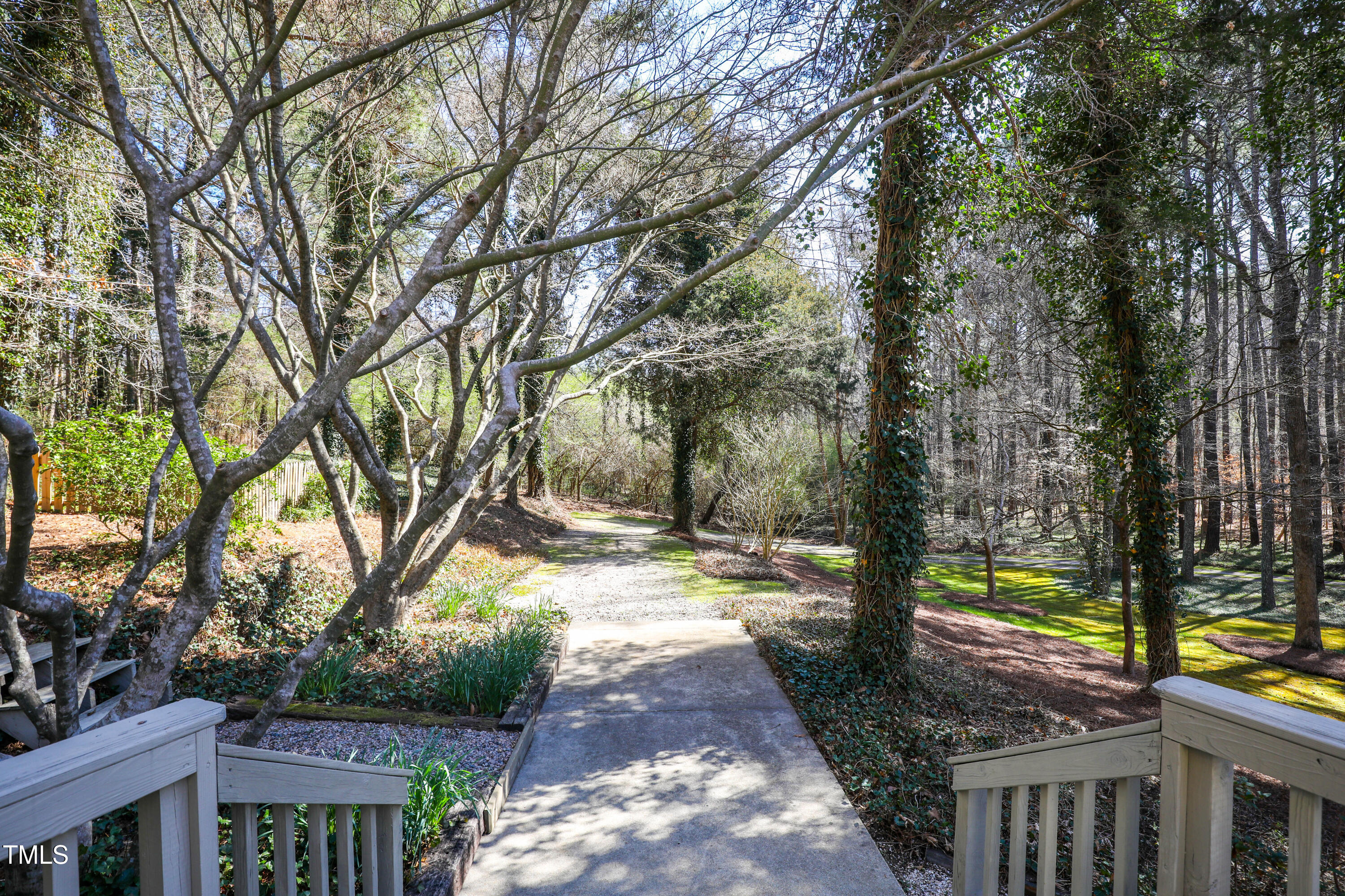 7409 Birch Tree Lane Wake Forest, NC 27587 - Photo 51 of 72 a view of a yard with large trees