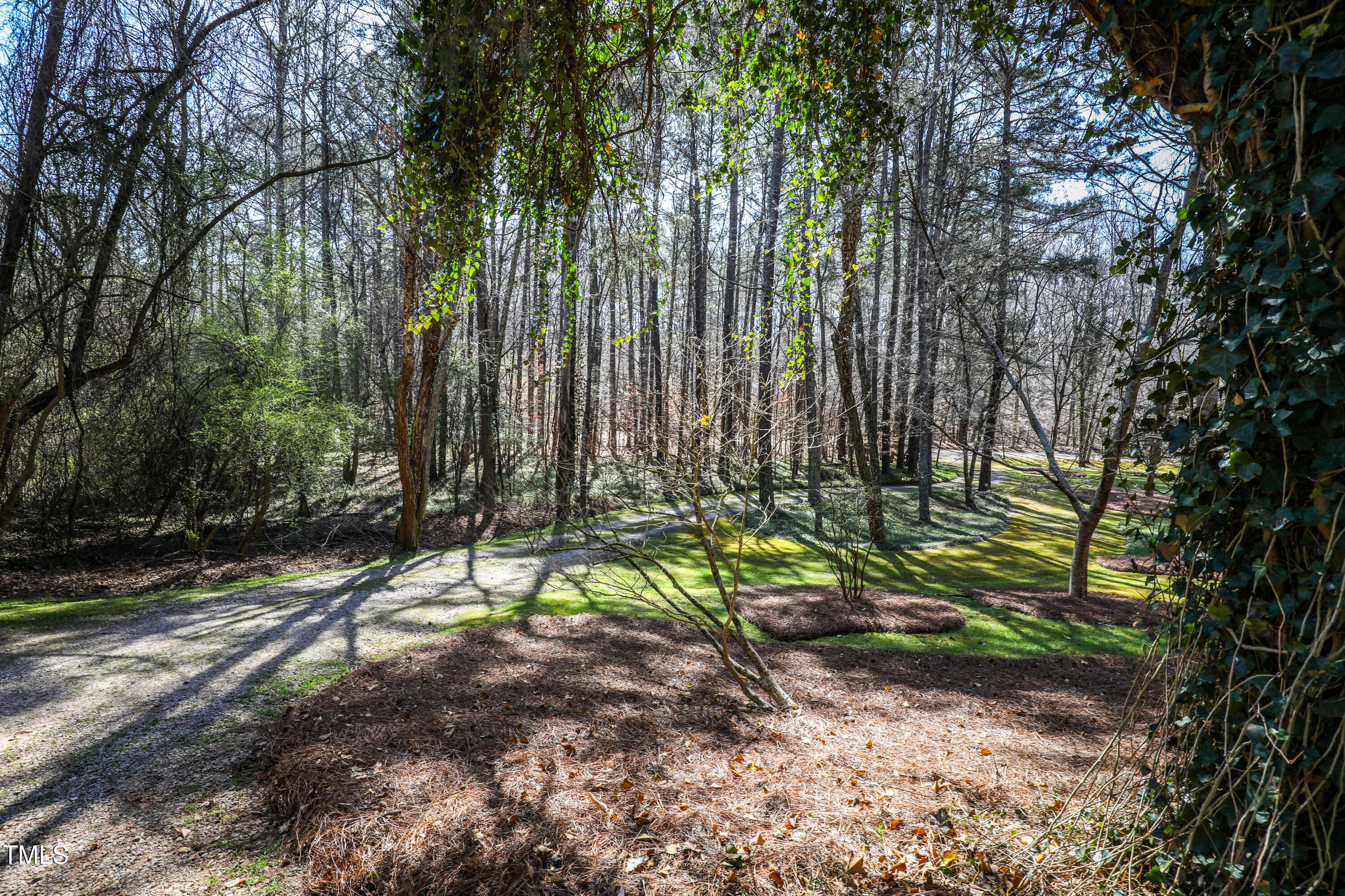 7409 Birch Tree Lane Wake Forest, NC 27587 - Photo 52 of 72 a view of a yard with plants and trees