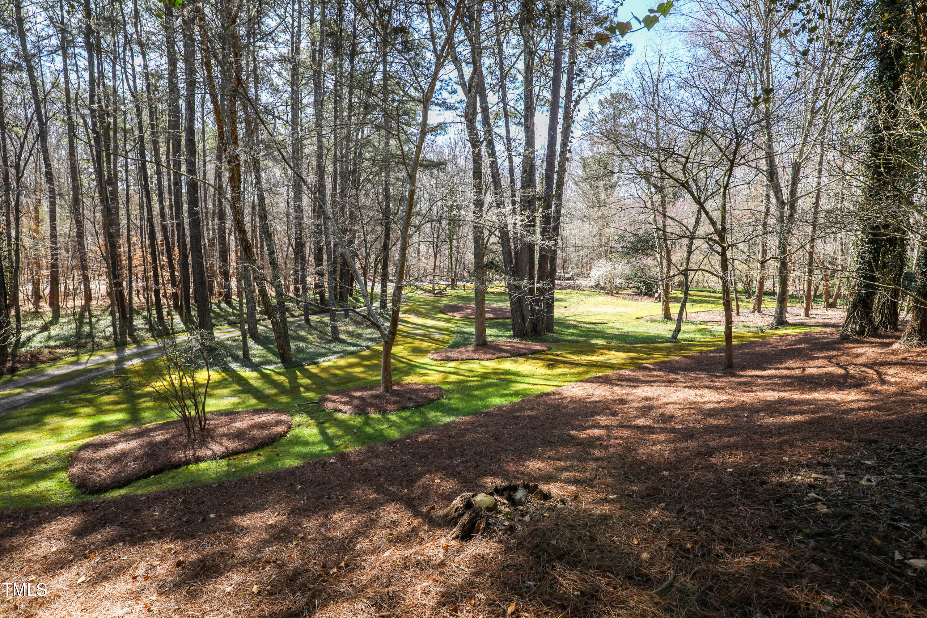 7409 Birch Tree Lane Wake Forest, NC 27587 - Photo 53 of 72 a view of a yard with plants and trees