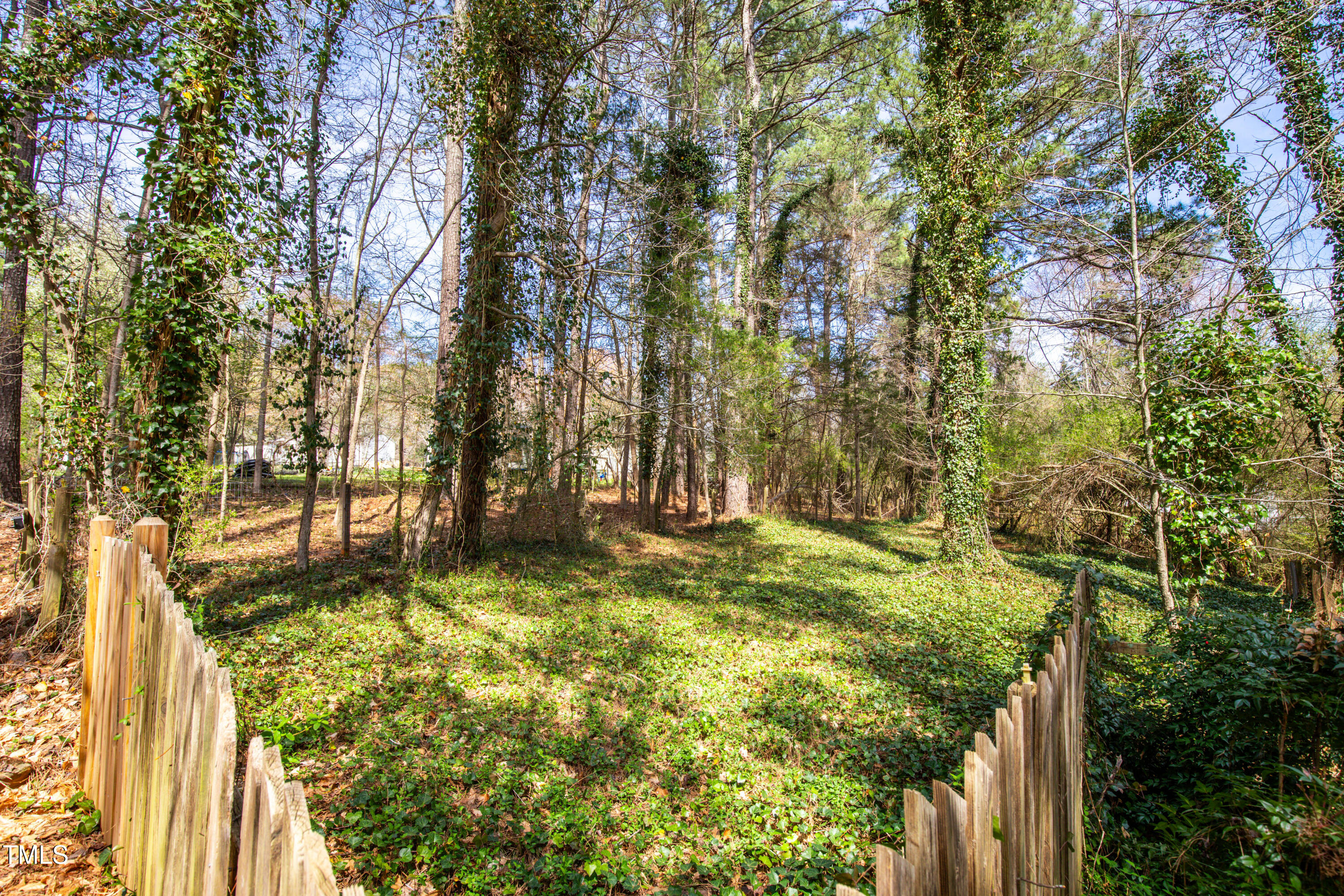 7409 Birch Tree Lane Wake Forest, NC 27587 - Photo 58 of 72 a view of yard with trees