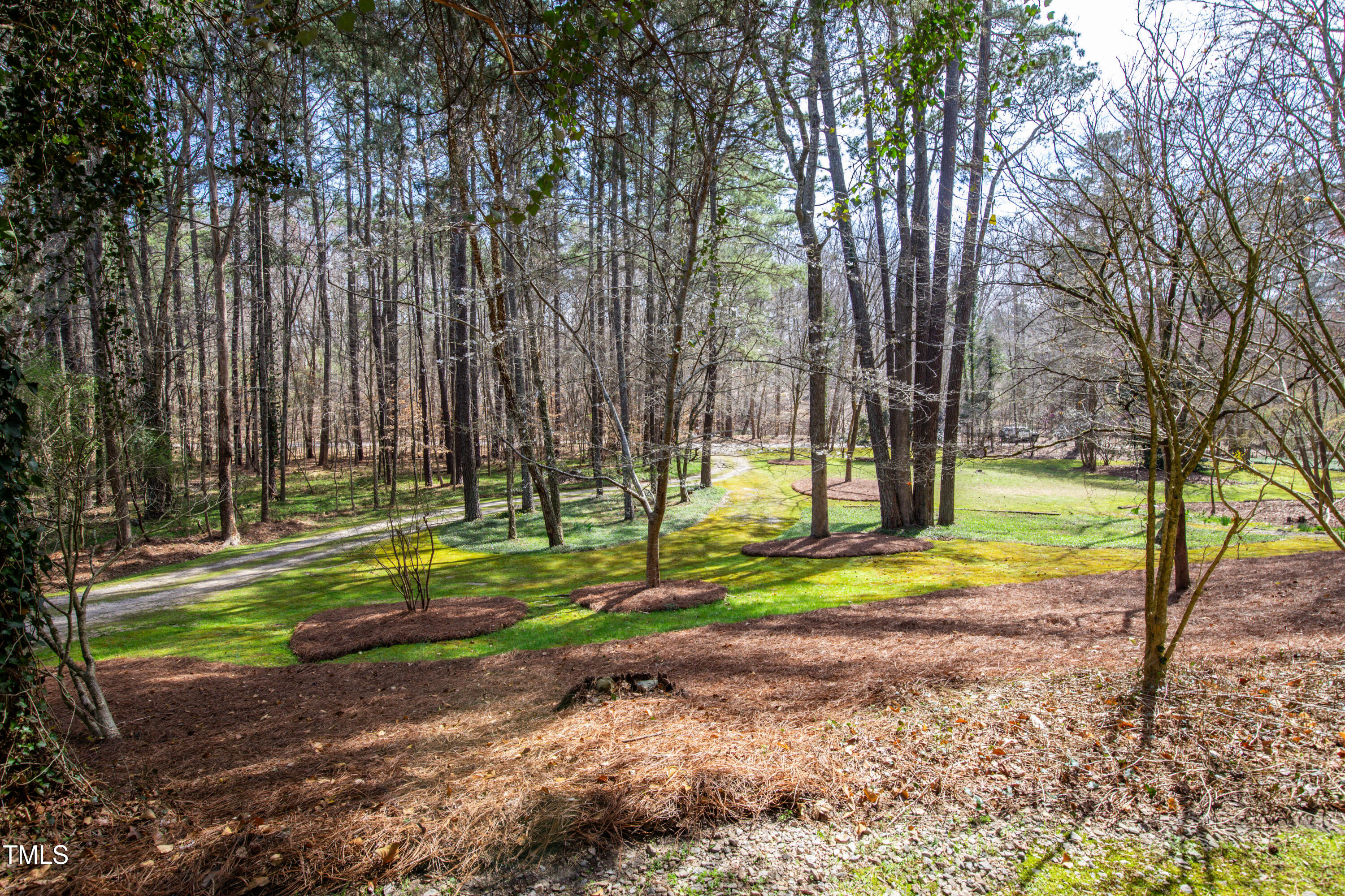 7409 Birch Tree Lane Wake Forest, NC 27587 - Photo 59 of 72 a view of a park with swings and trees
