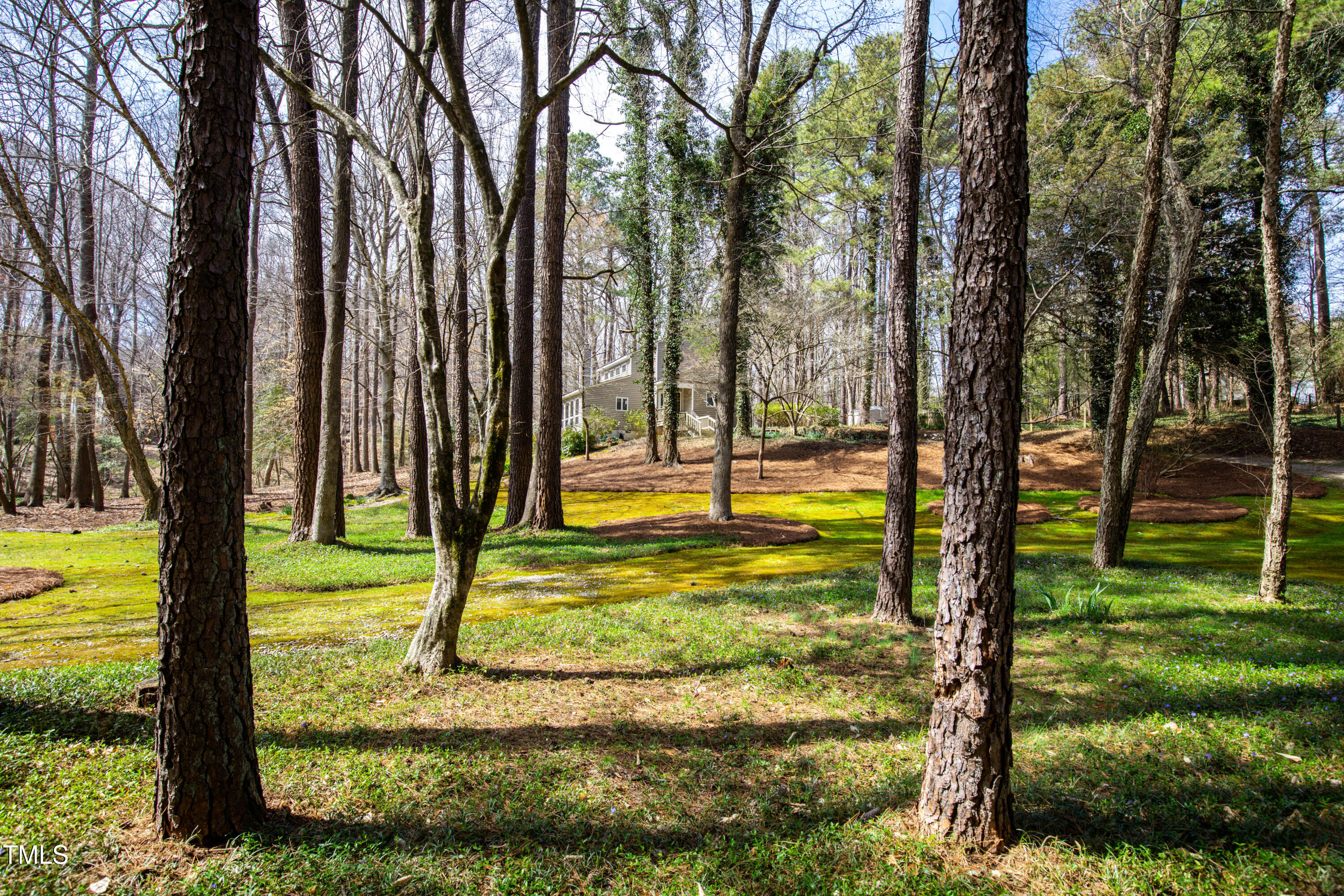 7409 Birch Tree Lane Wake Forest, NC 27587 - Photo 6 of 72 a view of a yard with palm trees
