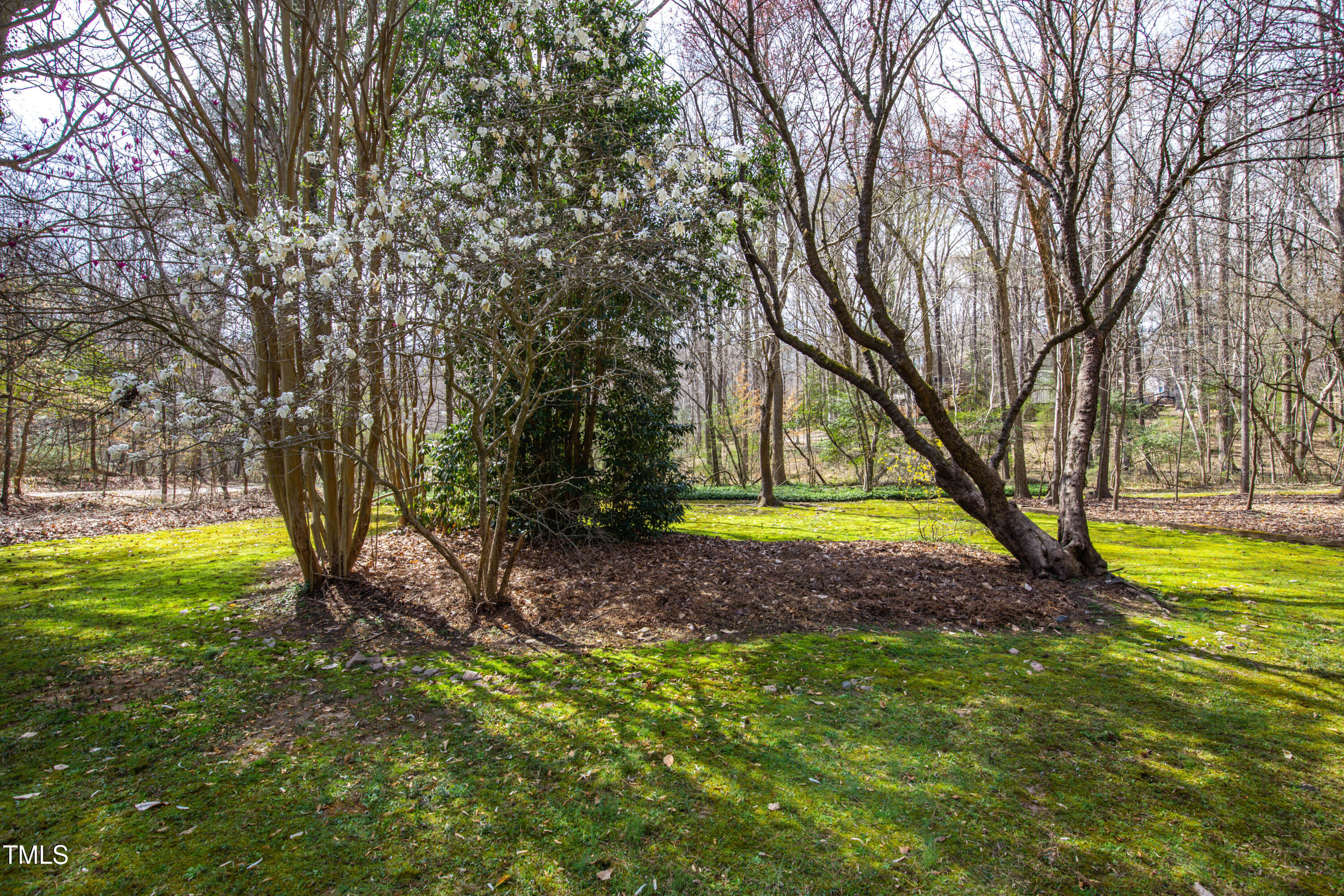 7409 Birch Tree Lane Wake Forest, NC 27587 - Photo 61 of 72 64