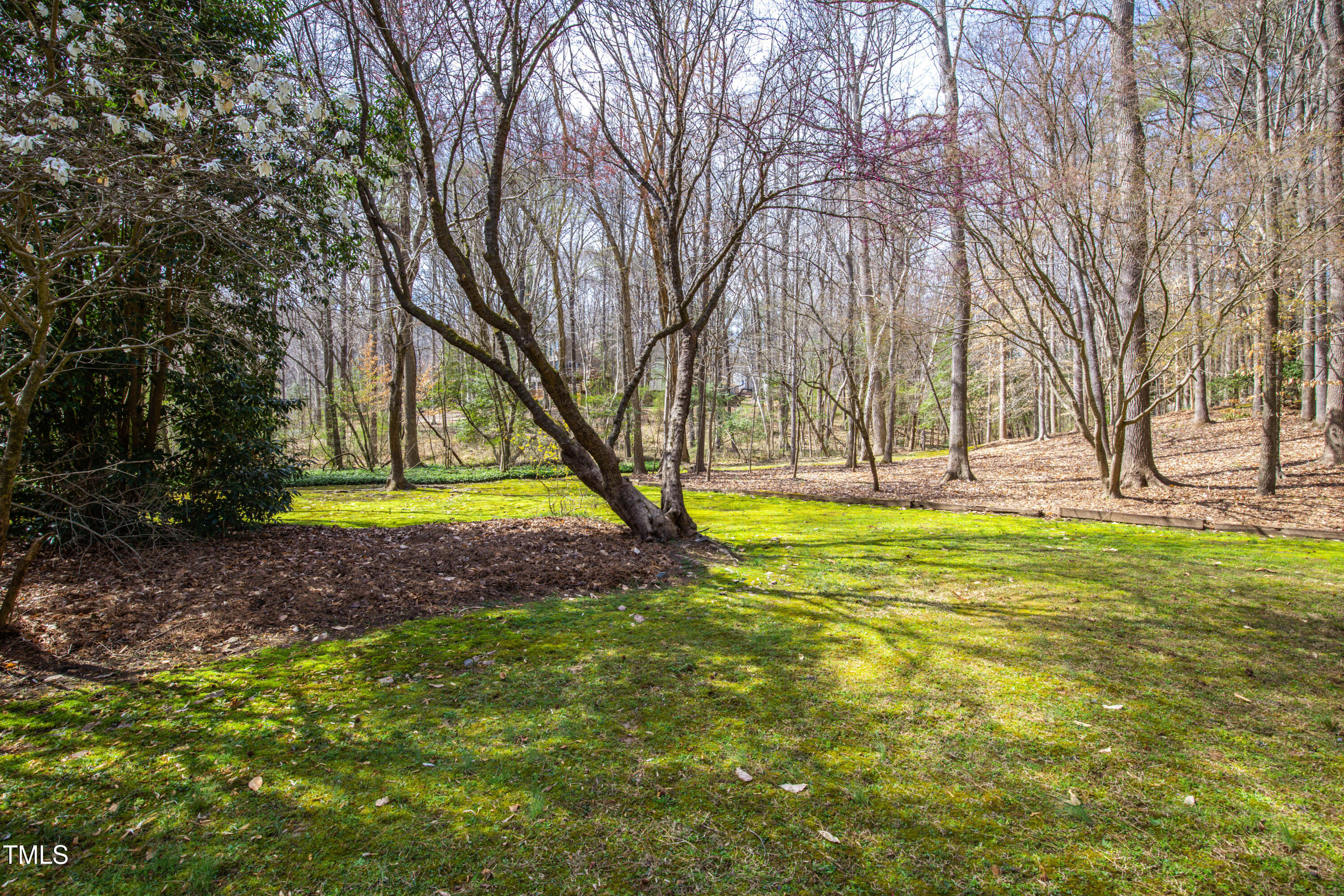 7409 Birch Tree Lane Wake Forest, NC 27587 - Photo 62 of 72 a view of swimming pool with tree s