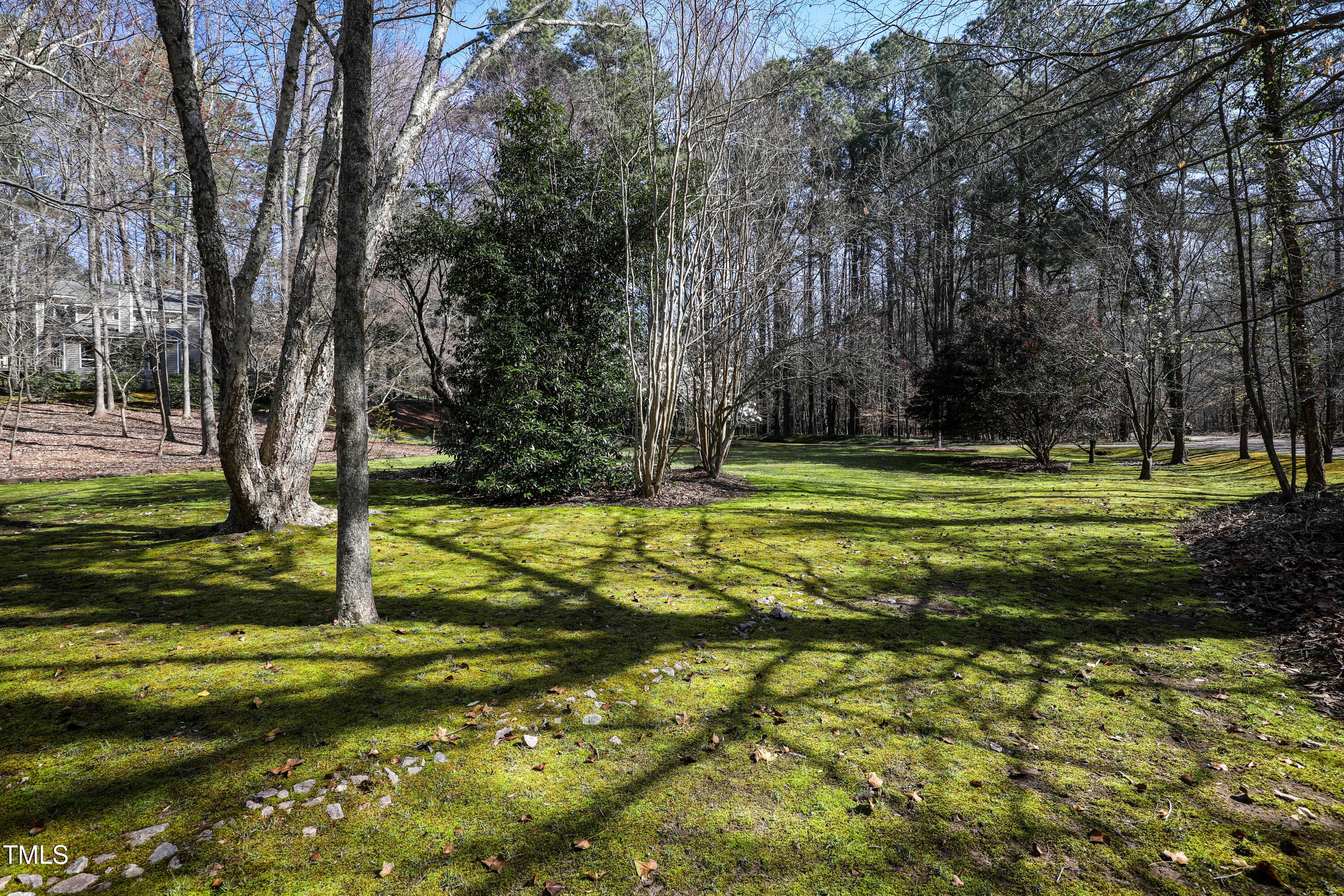 7409 Birch Tree Lane Wake Forest, NC 27587 - Photo 63 of 72 a view of a park with large trees