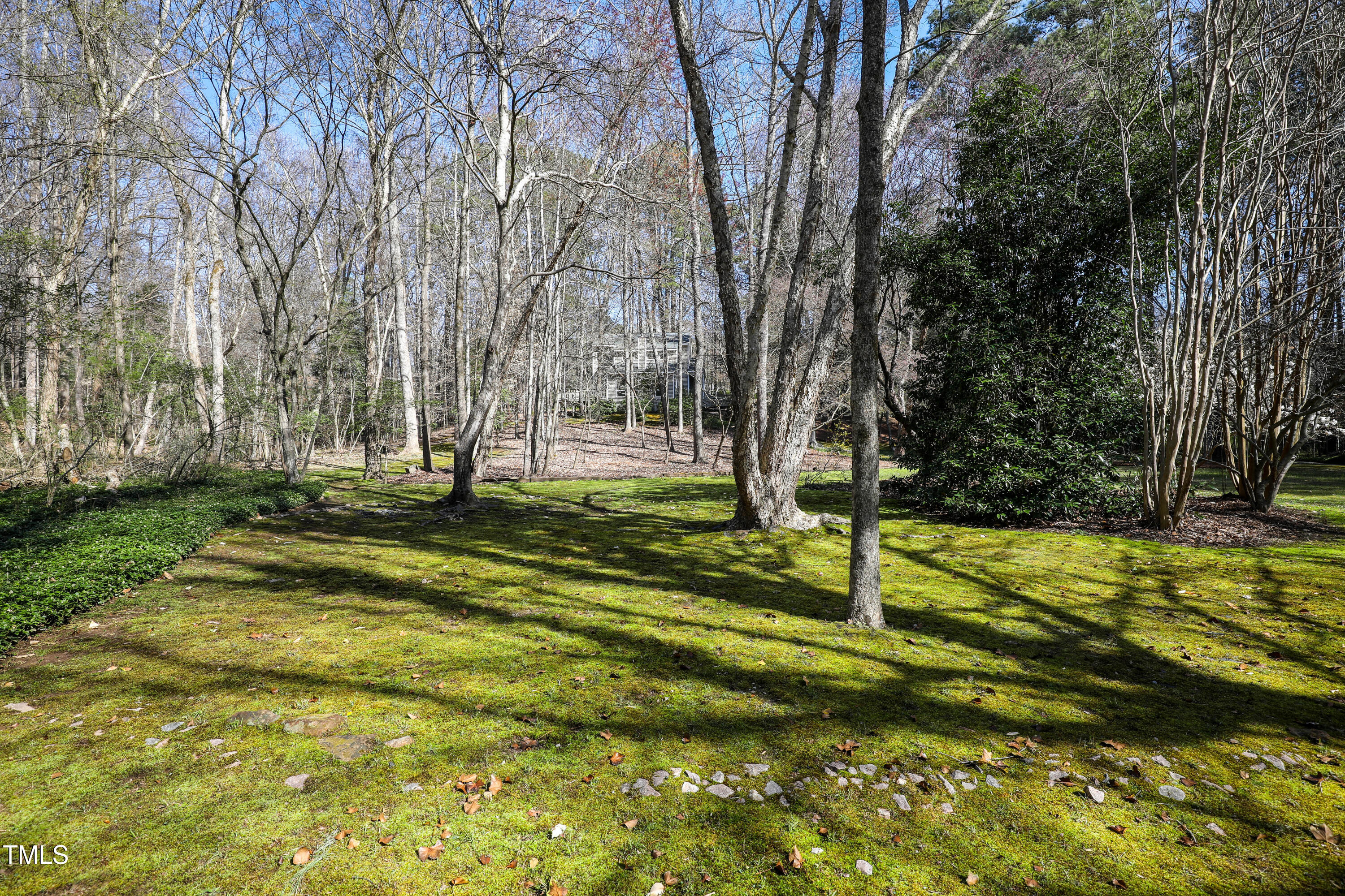 7409 Birch Tree Lane Wake Forest, NC 27587 - Photo 64 of 72 a view of a park with large trees