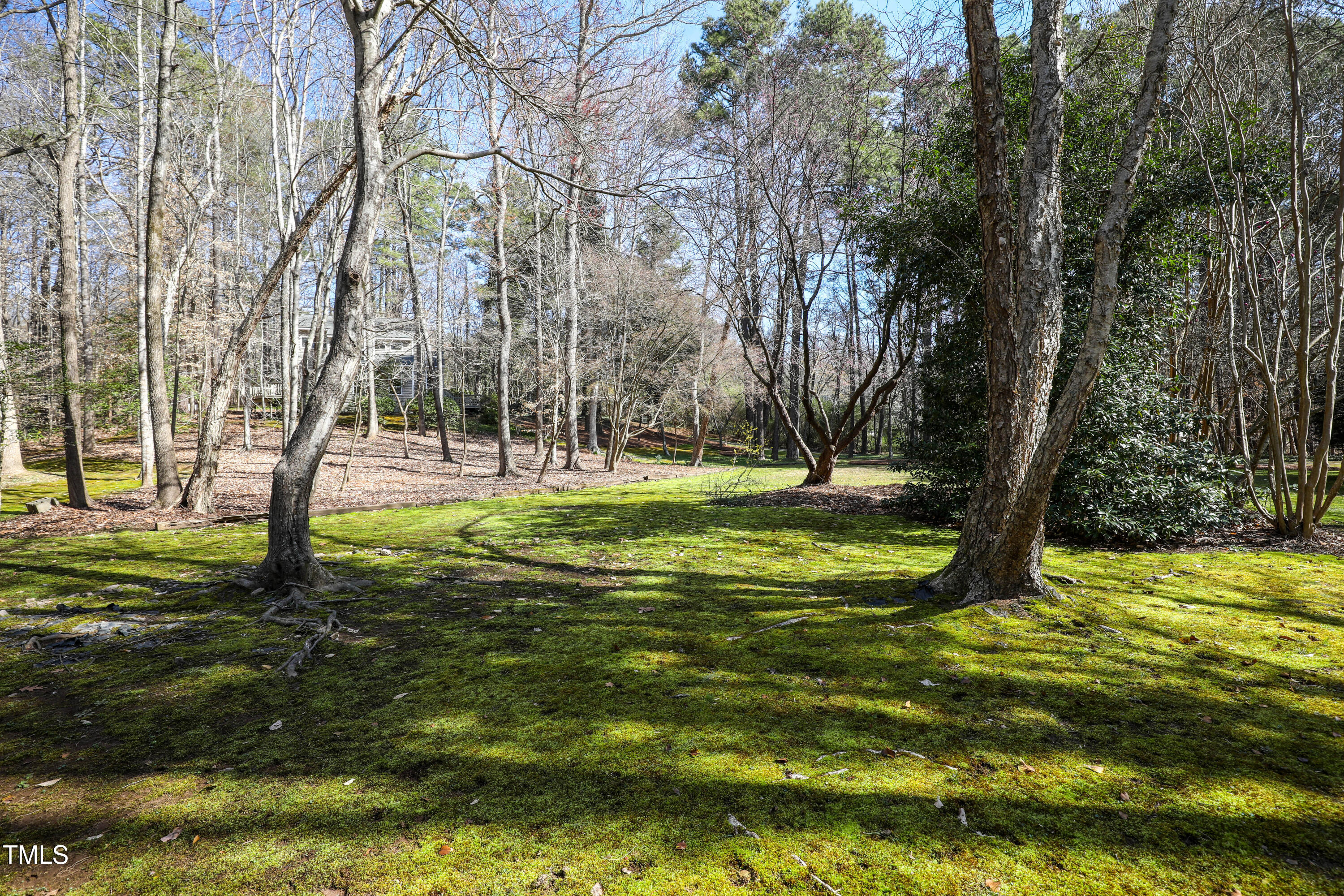 7409 Birch Tree Lane Wake Forest, NC 27587 - Photo 65 of 72 68