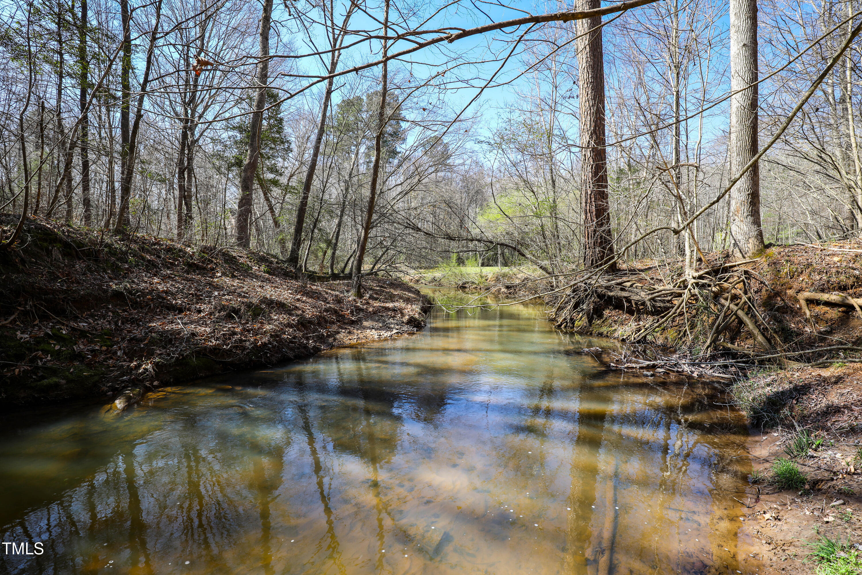 7409 Birch Tree Lane Wake Forest, NC 27587 - Photo 67 of 72 72