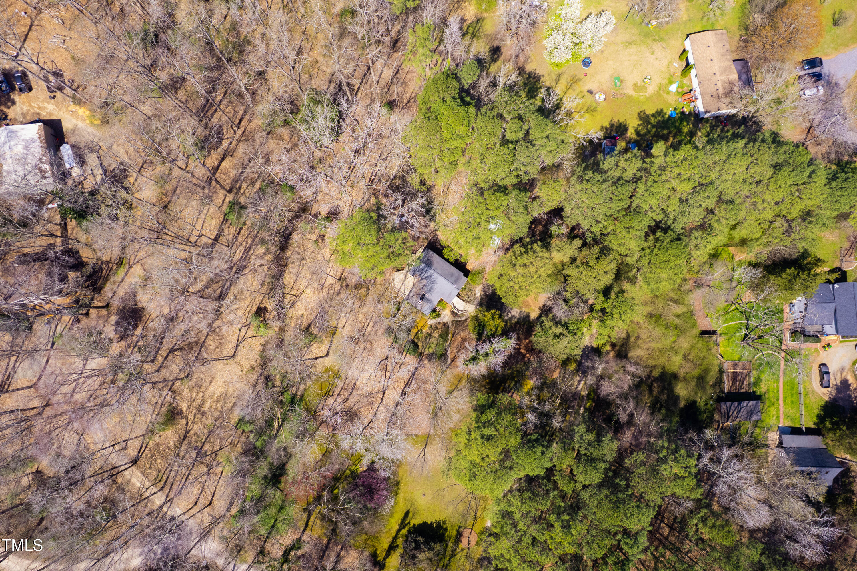 7409 Birch Tree Lane Wake Forest, NC 27587 - Photo 71 of 72 a backyard of a house with lots of trees
