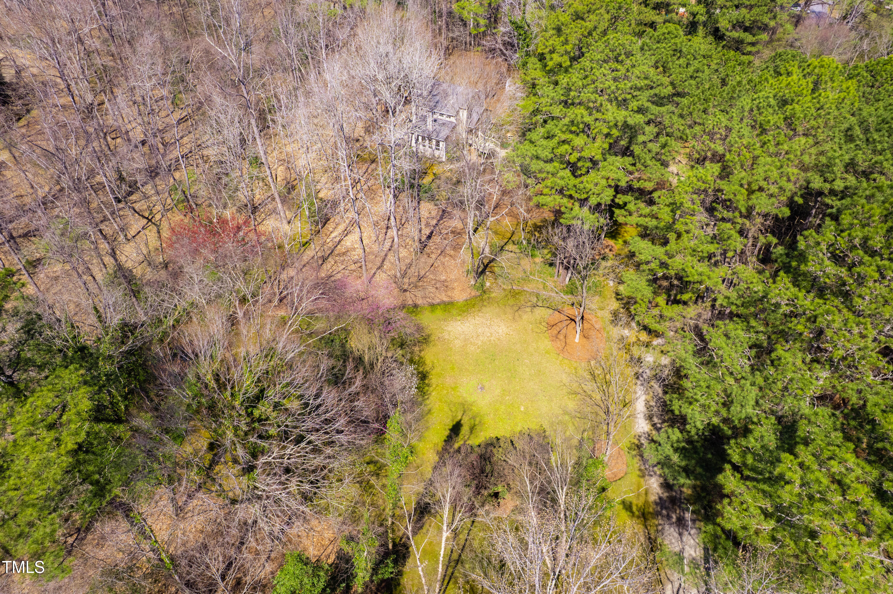 7409 Birch Tree Lane Wake Forest, NC 27587 - Photo 8 of 72 7