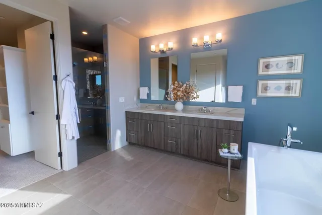 a bathroom with a double vanity sink a mirror and a shower