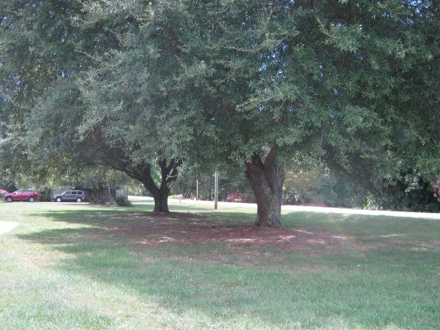 5061 New Cut Road Inman, SC 29349 - Photo 12 of 22
