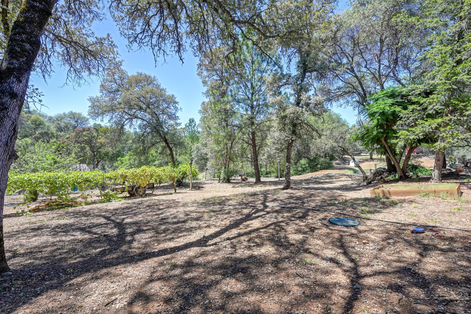 23234 Hidden Ranch Road Auburn, CA 95602 - Photo 76 of 81