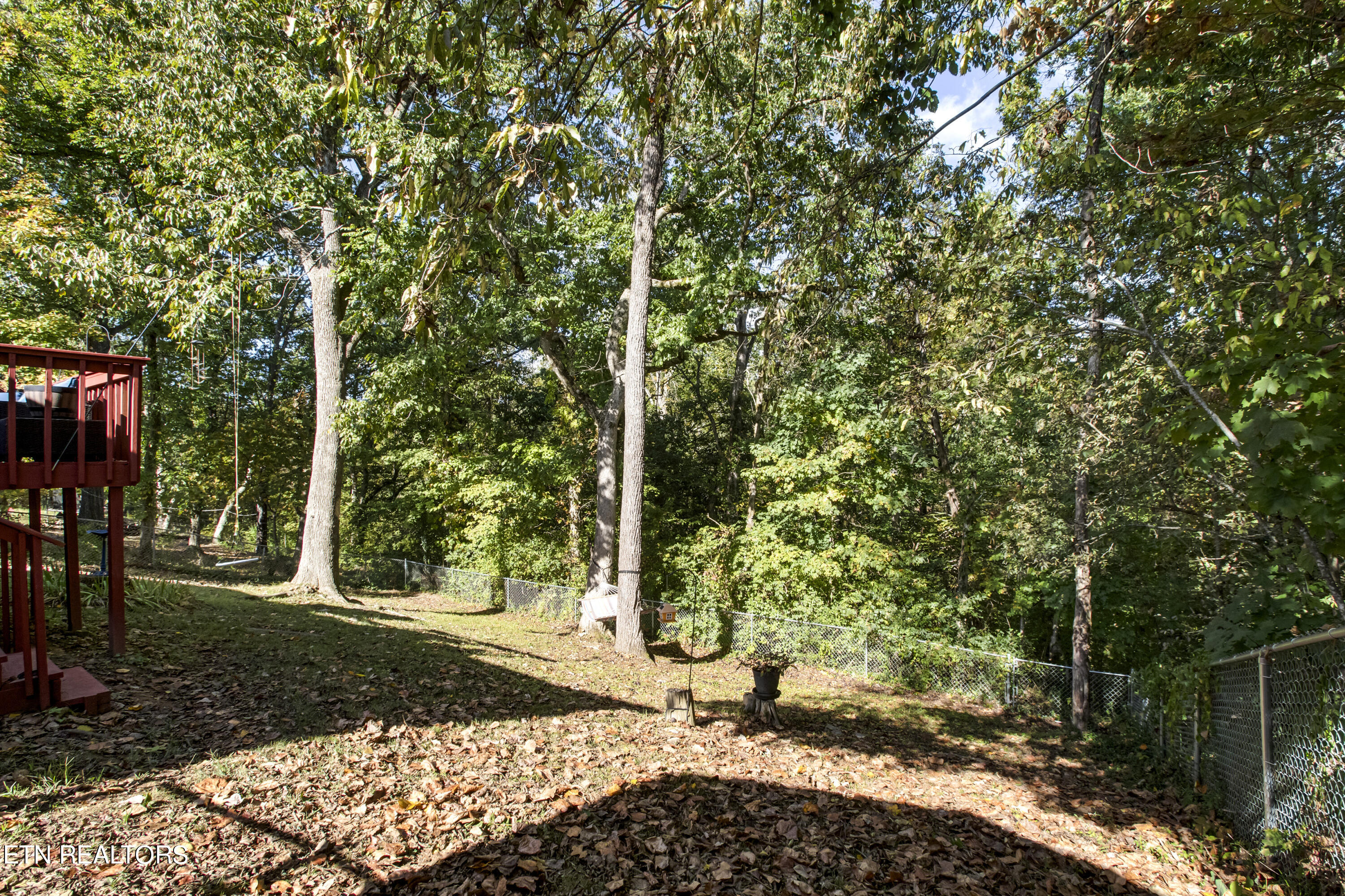 114 West Arrowwood Road Oak Ridge, TN 37830 - Photo 31 of 32 31_WArrowwoodRoad_114_FencedBackyard01