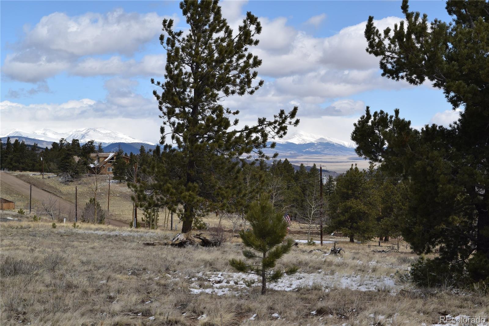3530 Singletree Road Hartsel, CO 80449 - Photo 3 of 8