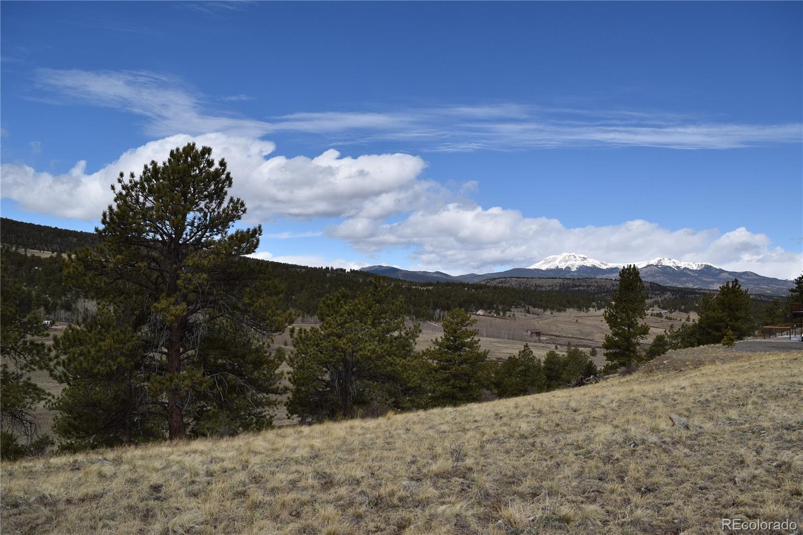 3530 Singletree Road Hartsel, CO 80449 - Photo 7 of 8