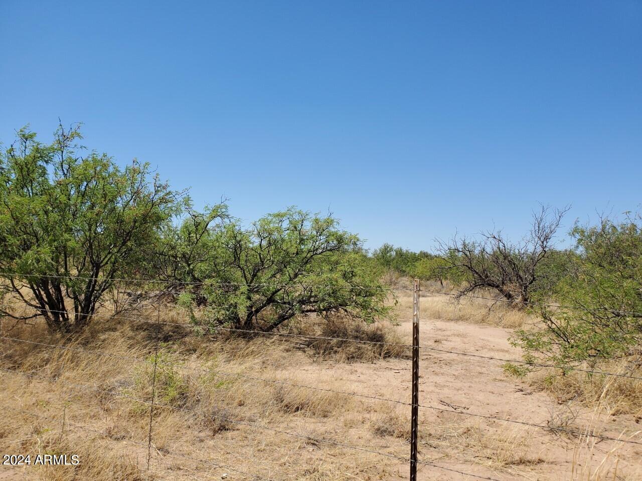 4-acres East Lane Ranch Road Hereford, AZ 85615 - Photo 2 of 9 a view of a yard with a tree