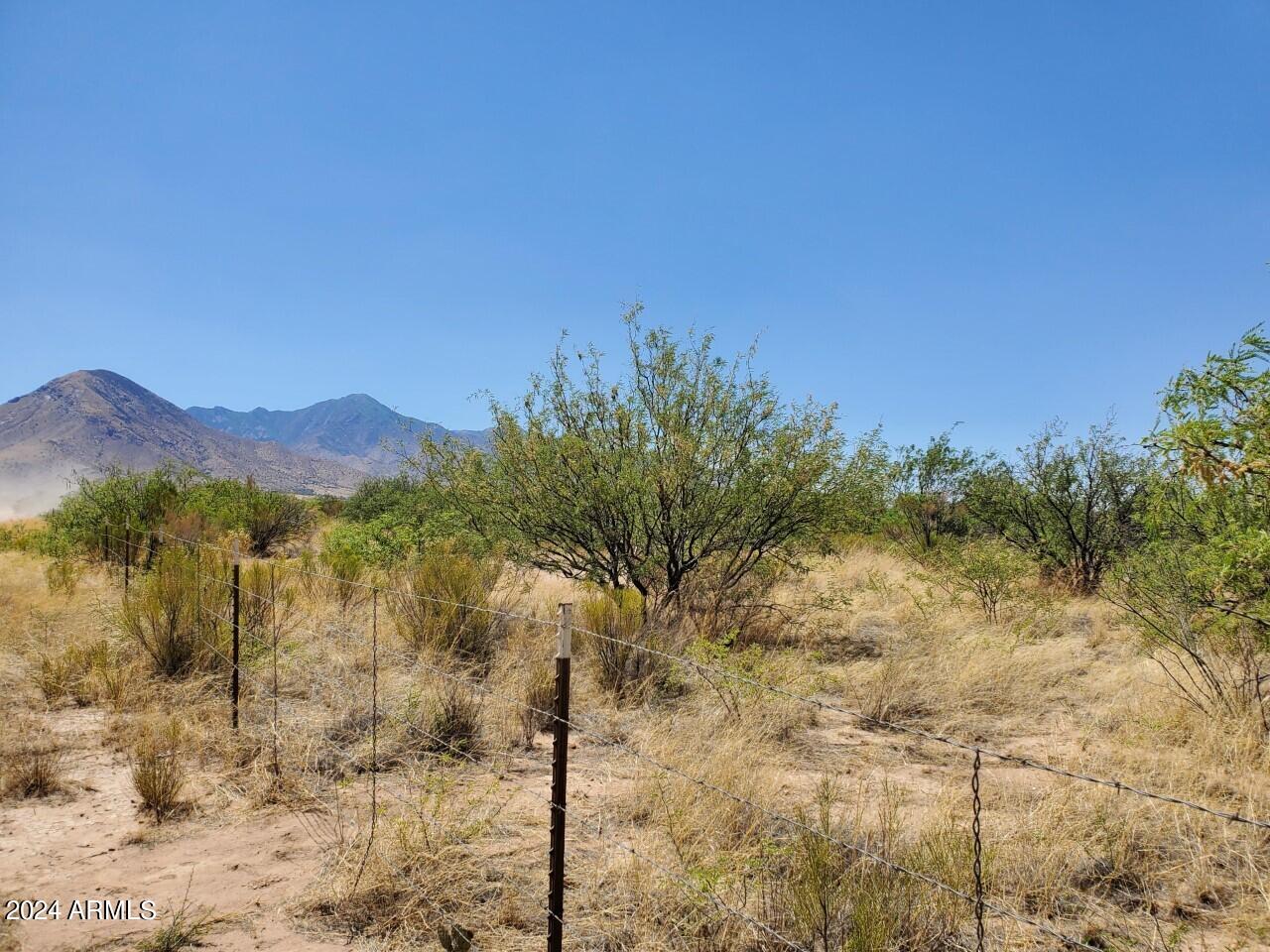 4-acres East Lane Ranch Road Hereford, AZ 85615 - Photo 3 of 9 a view of a dry yard with trees