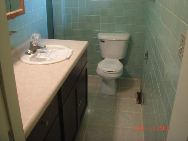 10 Brookside Road Park Forest, IL 60466 - Photo 6 of 16