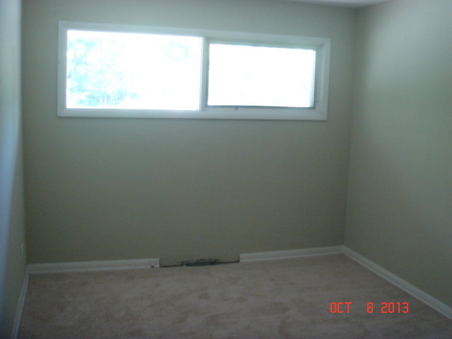 10 Brookside Road Park Forest, IL 60466 - Photo 10 of 16