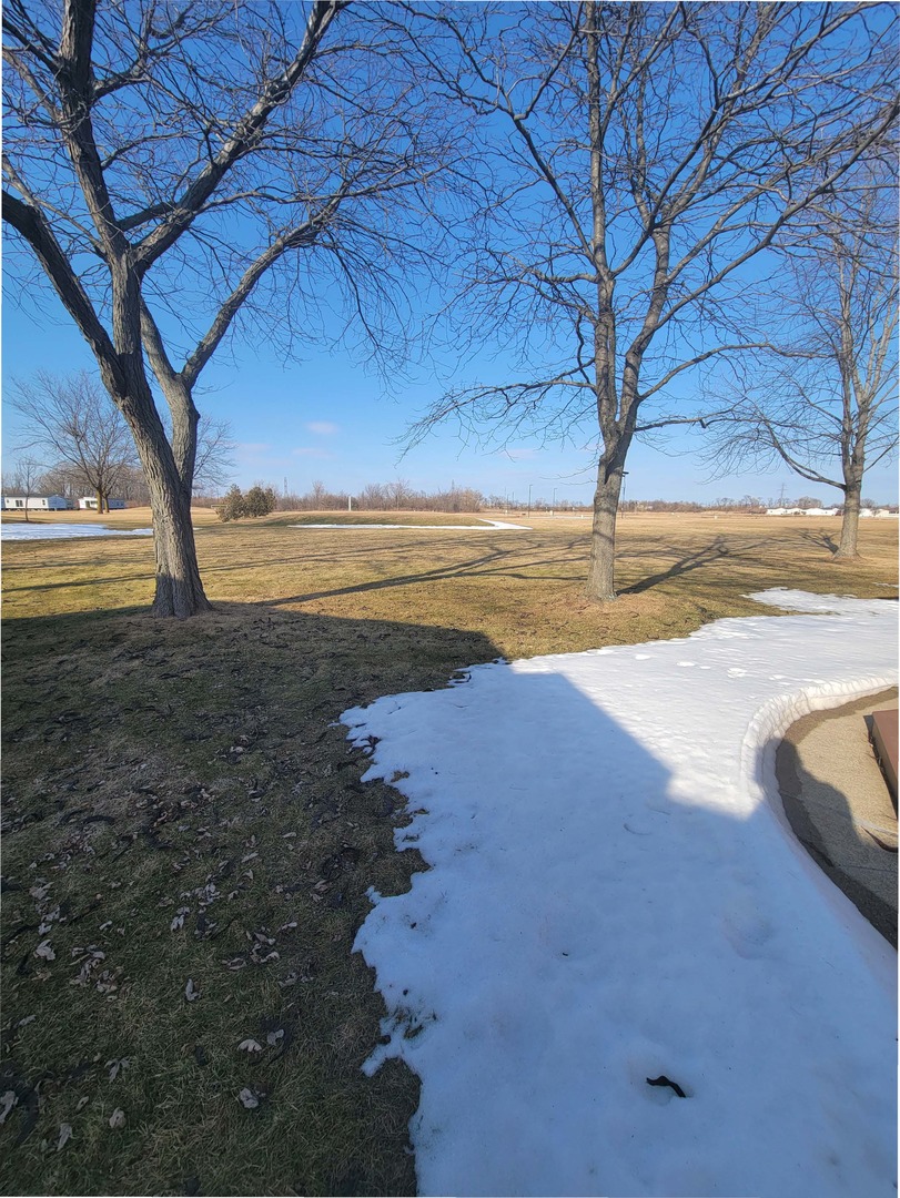 5016 West Colonial Drive, Unit 317 Monee, IL 60449 - Photo 23 of 32 a view of an ocean and beach
