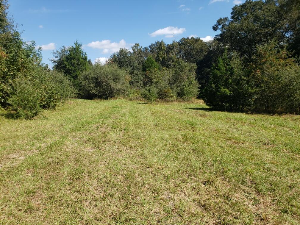 1890 Mathews Road Westville, FL 32464 - Photo 1 of 24 Resized_20211014_115858