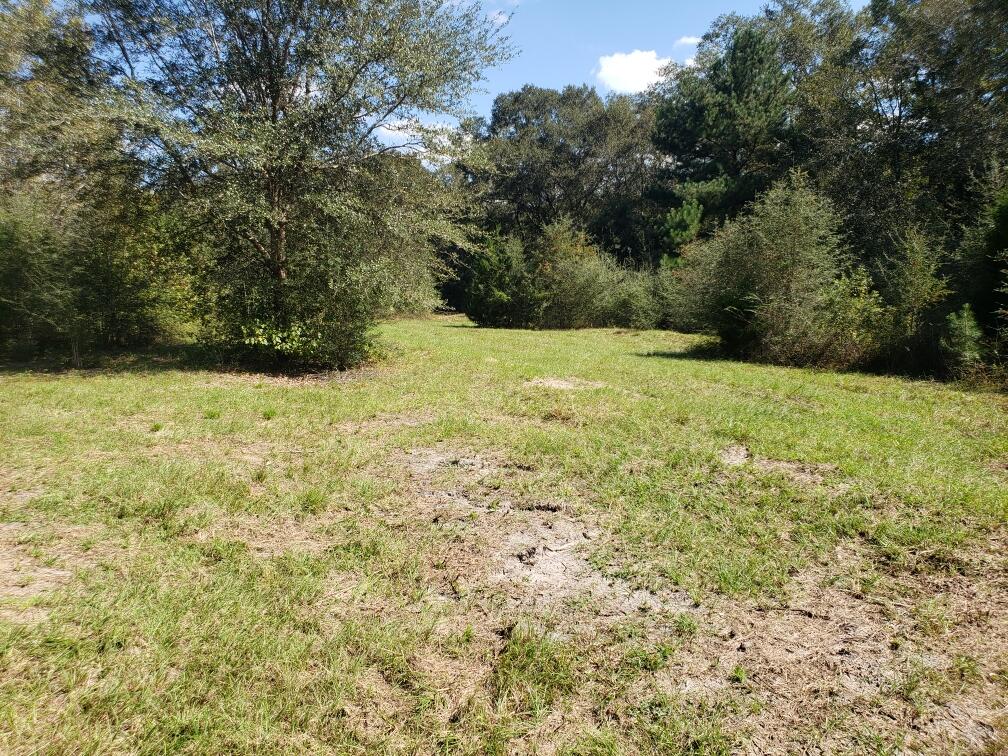 1890 Mathews Road Westville, FL 32464 - Photo 11 of 24 Resized_20211014_115836