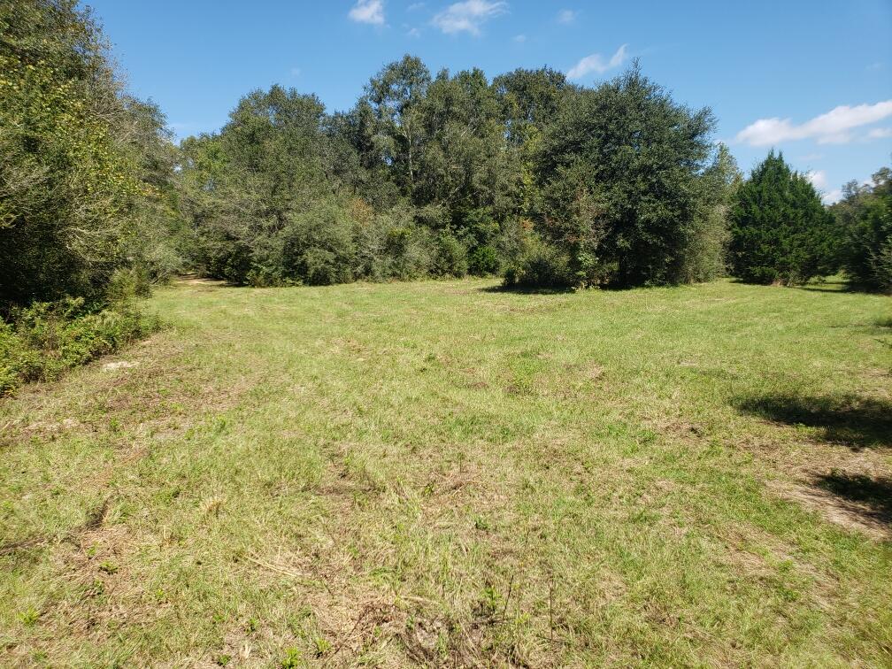 1890 Mathews Road Westville, FL 32464 - Photo 12 of 24 Resized_20211014_115731