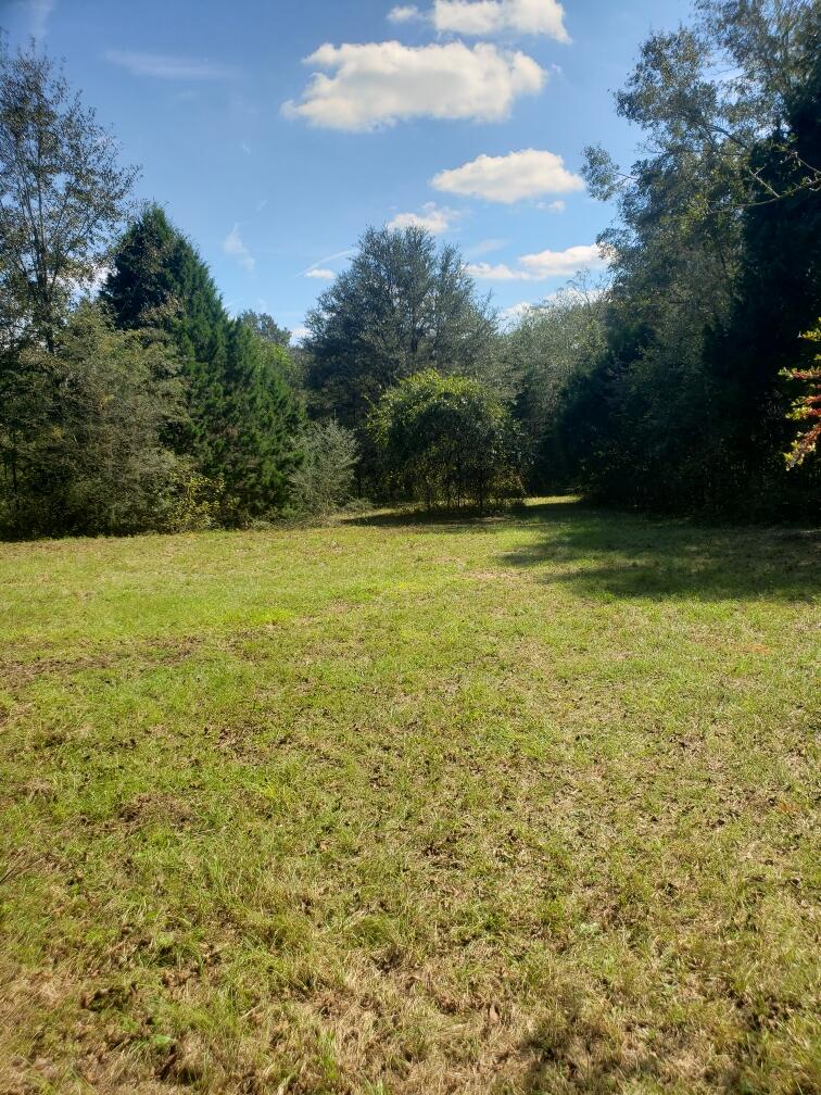 1890 Mathews Road Westville, FL 32464 - Photo 13 of 24 Resized_20211014_120646