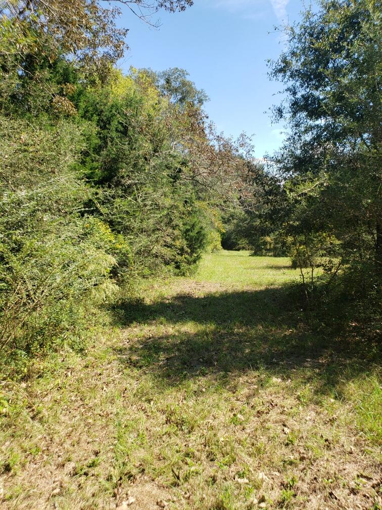 1890 Mathews Road Westville, FL 32464 - Photo 14 of 24 Resized_20211014_120404