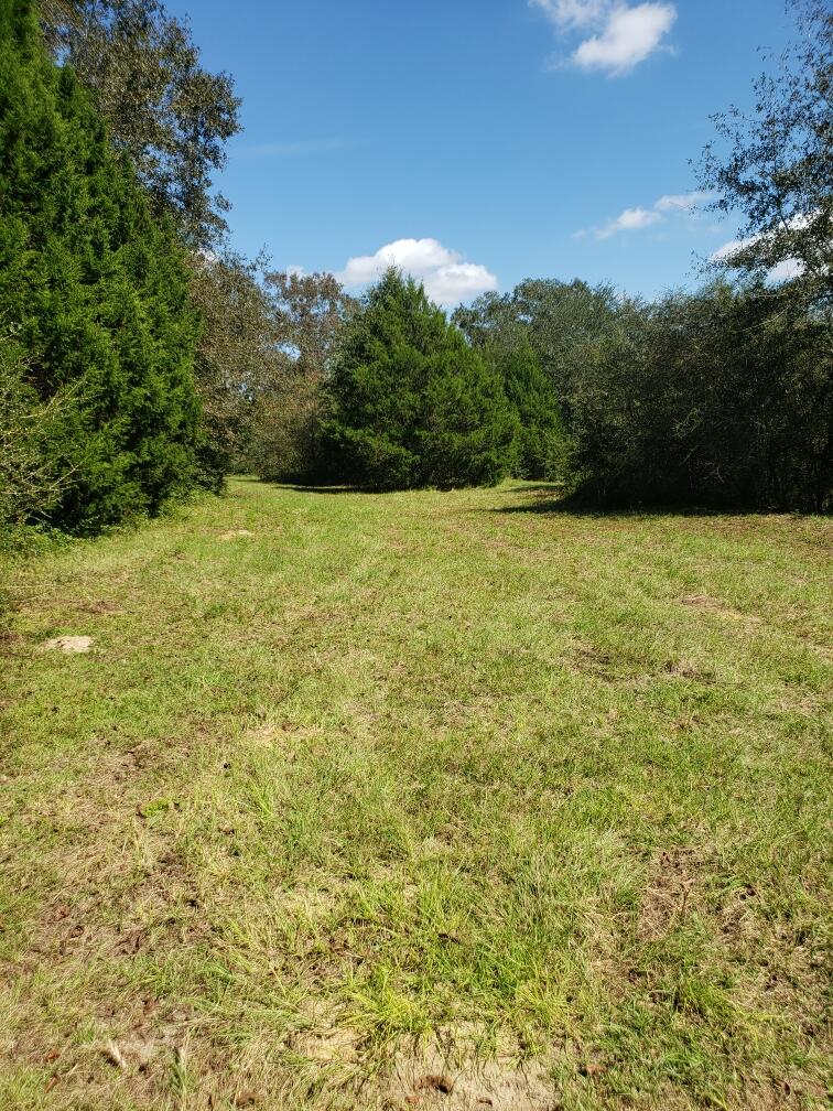 1890 Mathews Road Westville, FL 32464 - Photo 15 of 24 Resized_20211014_120246