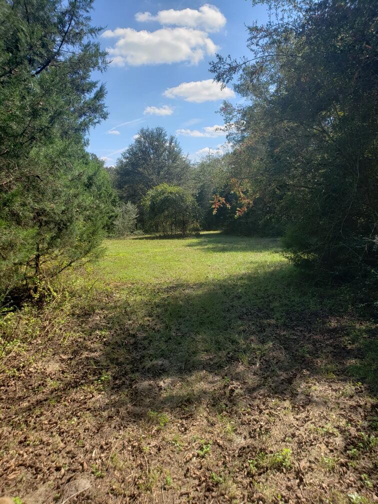 1890 Mathews Road Westville, FL 32464 - Photo 17 of 24 Resized_20211014_120708