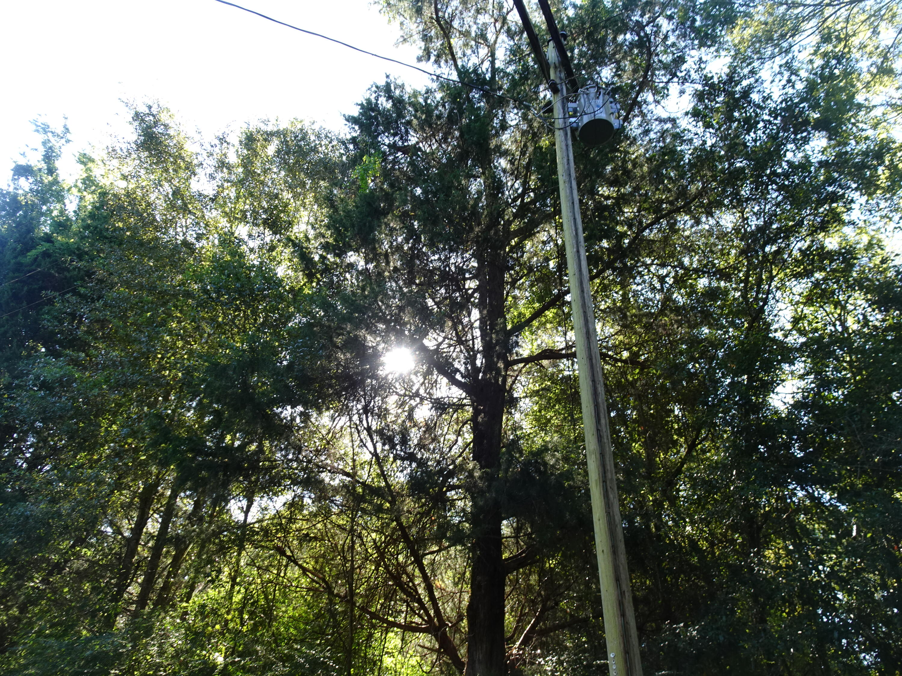 1890 Mathews Road Westville, FL 32464 - Photo 18 of 24 DSC00893