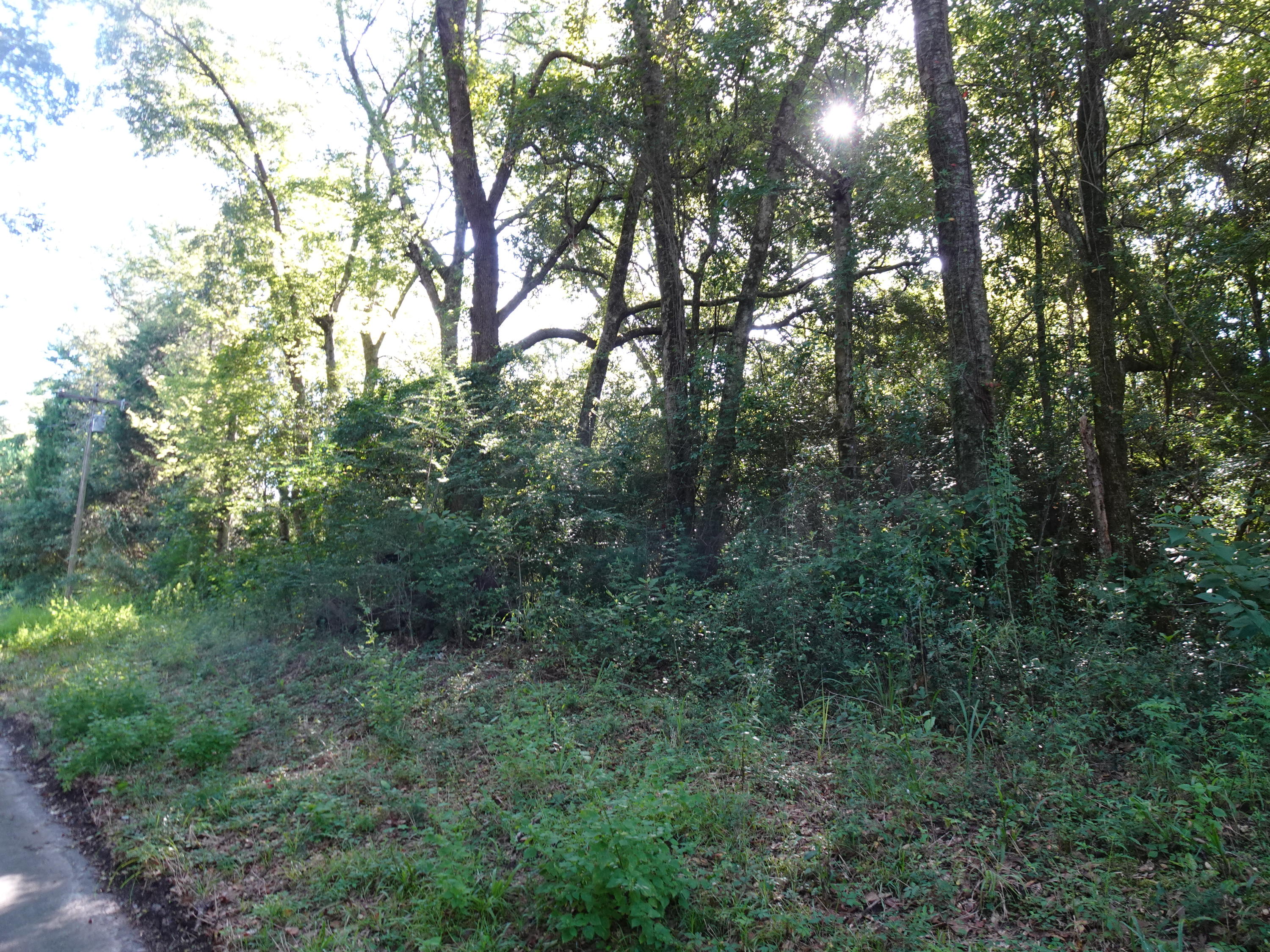 1890 Mathews Road Westville, FL 32464 - Photo 19 of 24 DSC00895