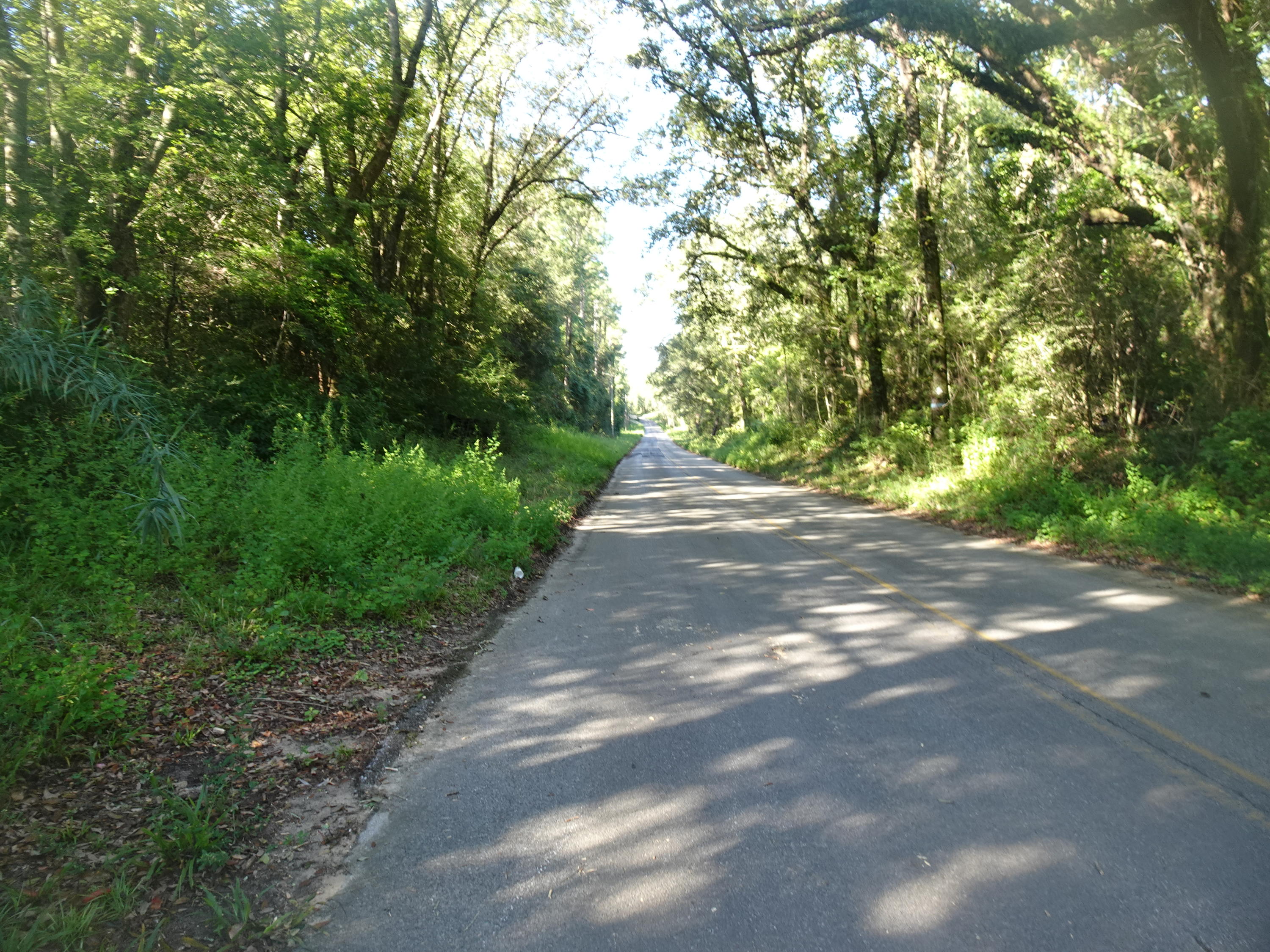 1890 Mathews Road Westville, FL 32464 - Photo 20 of 24 DSC00891