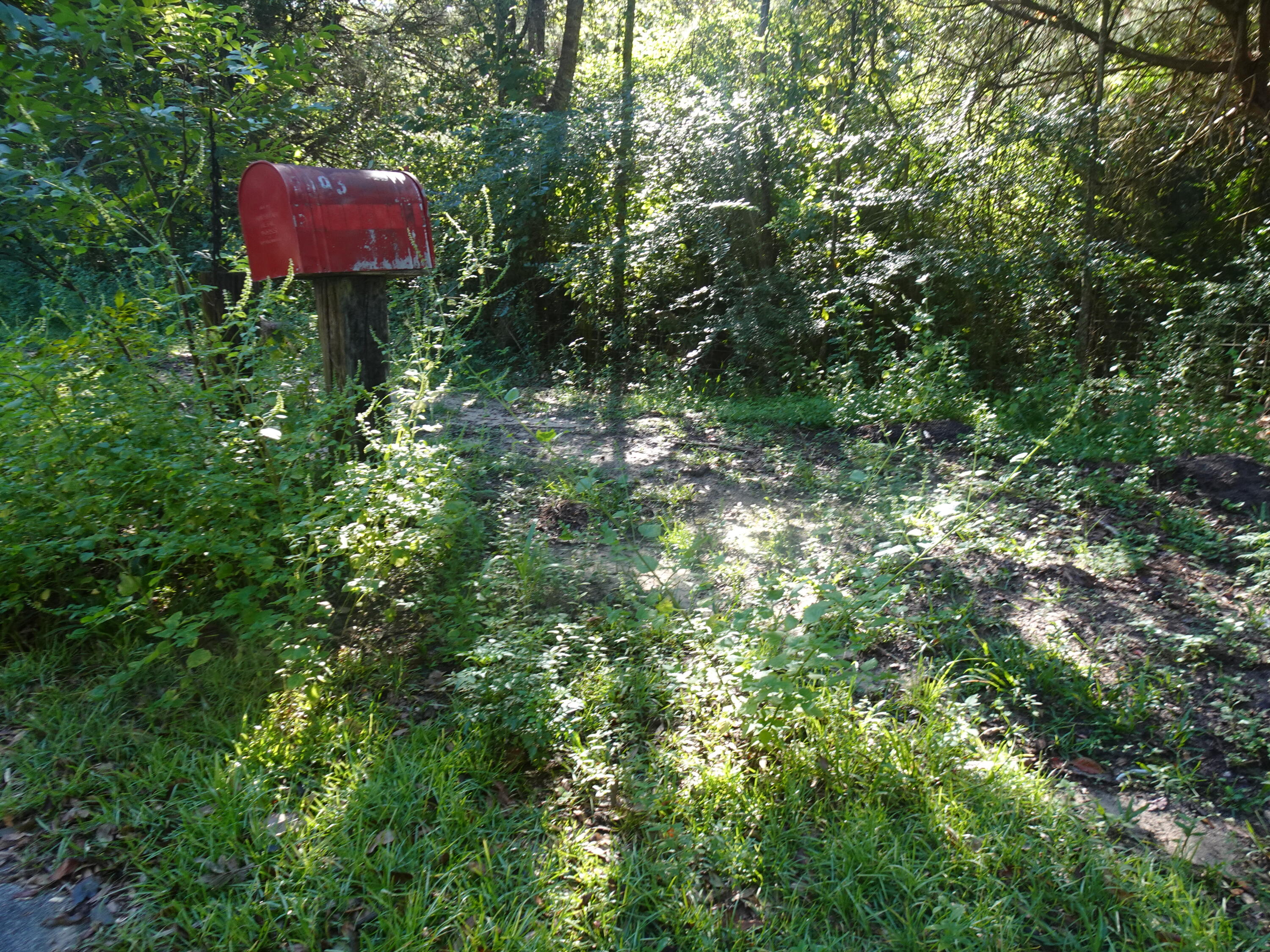 1890 Mathews Road Westville, FL 32464 - Photo 23 of 24 DSC00896