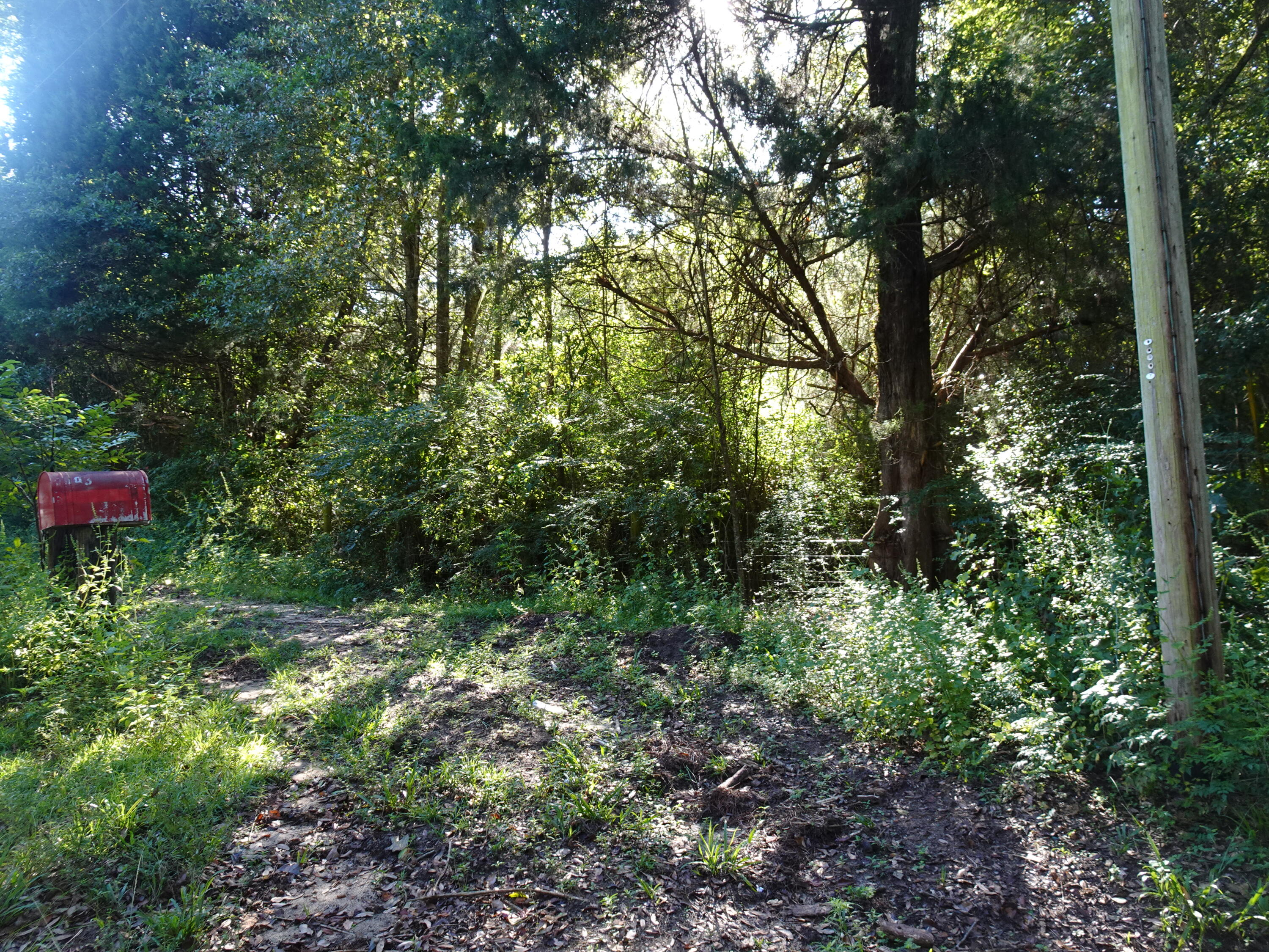 1890 Mathews Road Westville, FL 32464 - Photo 24 of 24 DSC00892