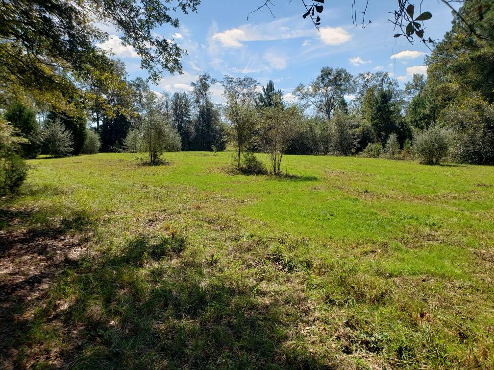 1890 Mathews Road Westville, FL 32464 - Photo 3 of 24 Resized_20211014_115047