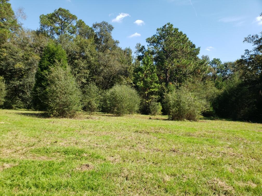 1890 Mathews Road Westville, FL 32464 - Photo 5 of 24 Resized_20211014_115313