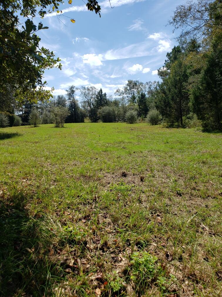 1890 Mathews Road Westville, FL 32464 - Photo 6 of 24 Resized_20211014_115425