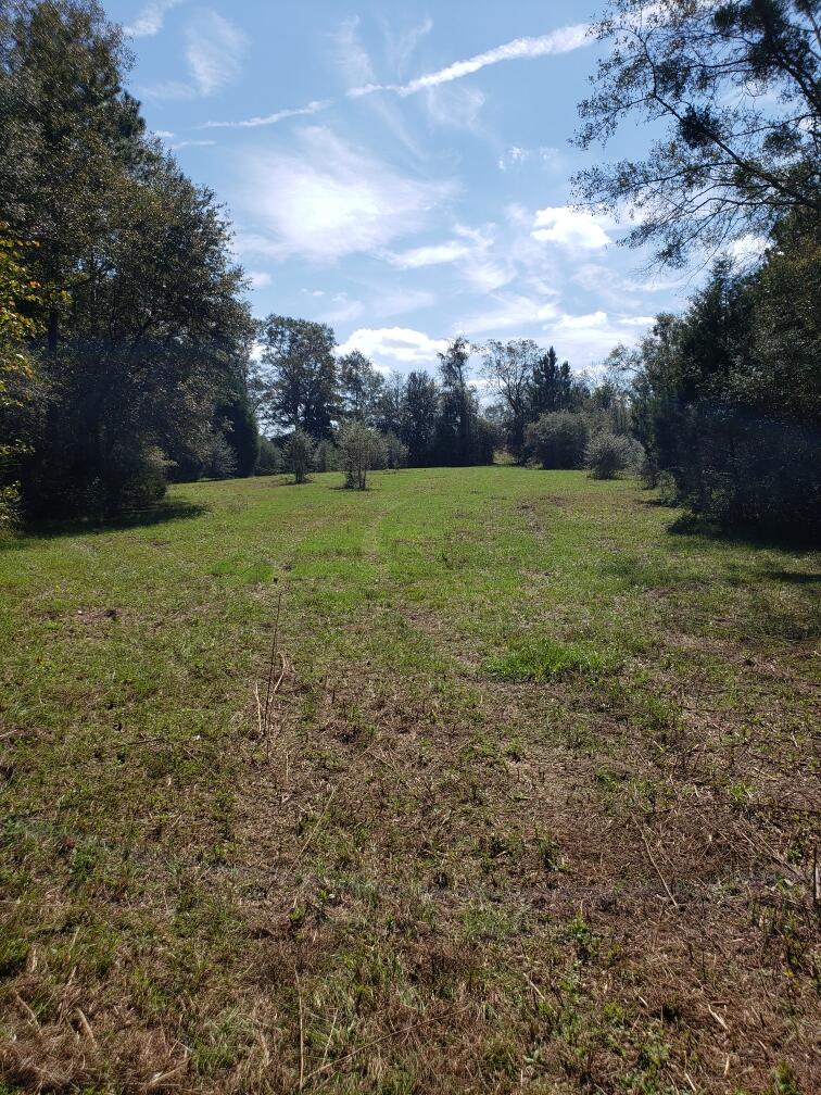 1890 Mathews Road Westville, FL 32464 - Photo 7 of 24 Resized_20211014_115437