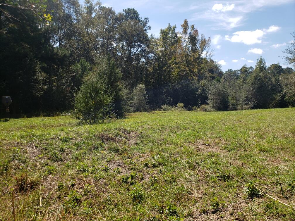 1890 Mathews Road Westville, FL 32464 - Photo 8 of 24 Resized_20211014_115959