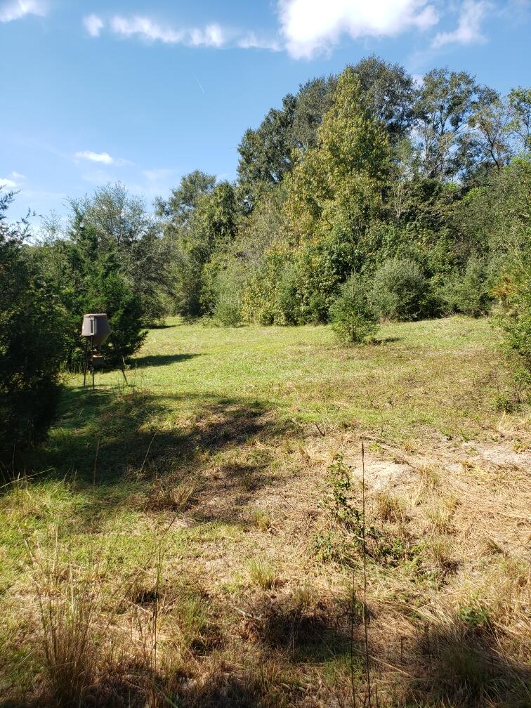1890 Mathews Road Westville, FL 32464 - Photo 9 of 24 Resized_20211014_120030