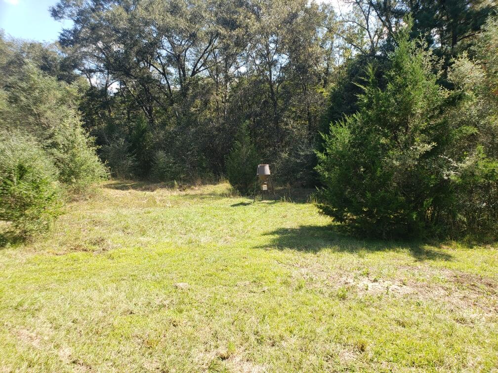 1890 Mathews Road Westville, FL 32464 - Photo 10 of 24 Resized_20211014_115923