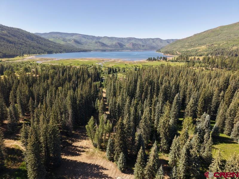 201 Golden Forest Road Bayfield, CO 81122 - Photo 5 of 37