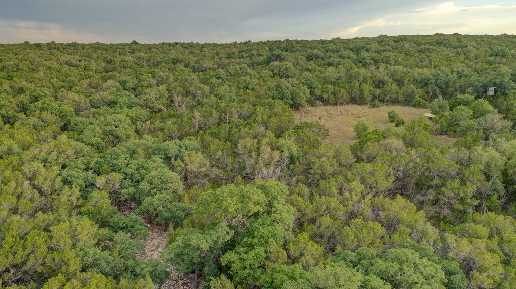 438 Yellowstone Lane Hunt, TX 78024 - Photo 44 of 47