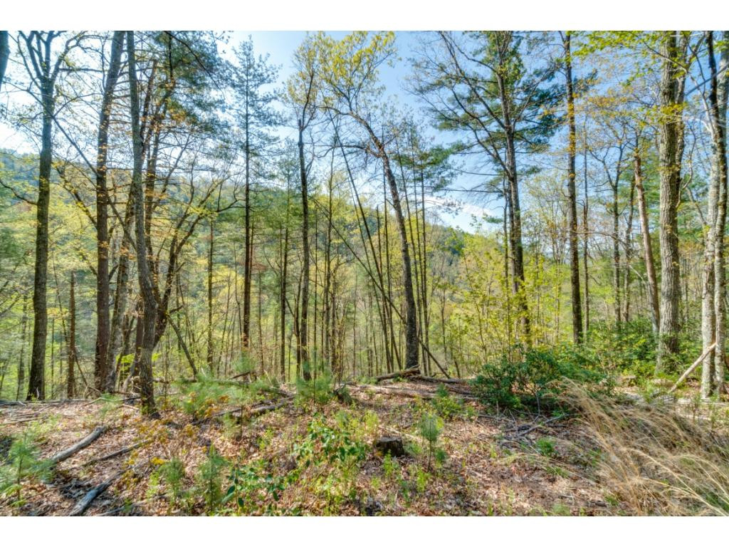 Tbd Kyte Hollow Road Butler, TN 37640 - Photo 11 of 36 Photo 11
