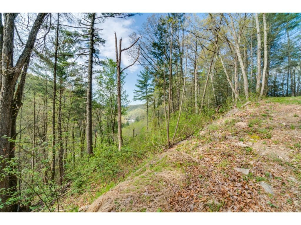 Tbd Kyte Hollow Road Butler, TN 37640 - Photo 16 of 36 Photo 16