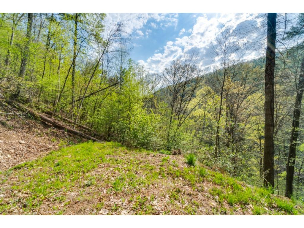 Tbd Kyte Hollow Road Butler, TN 37640 - Photo 17 of 36 Photo 17